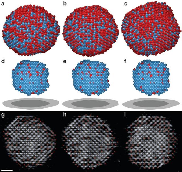 PtFeparticles.jpg